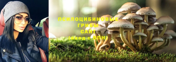 MDMA Premium VHQ Приозерск