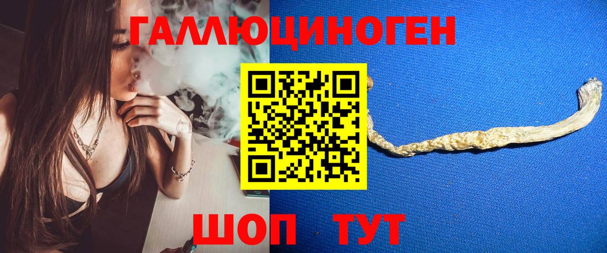 Галлюциногенные грибы Psilocybine cubensis  Вход с VPN  Карасук 