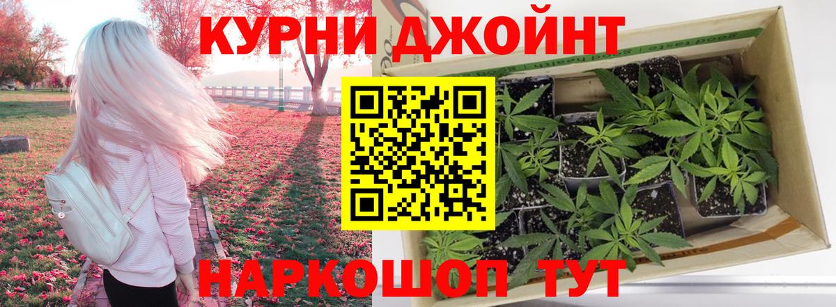 Конопля ГИДРОПОН  Вход с VPN  Бошки марихуана сатива  Карасук  Каннабис ГИДРОПОН 